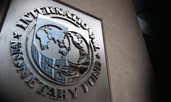 Hazine, IMF'ye yeni temsilci atadı