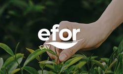 Efor Çay'dan 1,3 milyar TL'lik anlaşma: Hisseler rekora yaklaştı