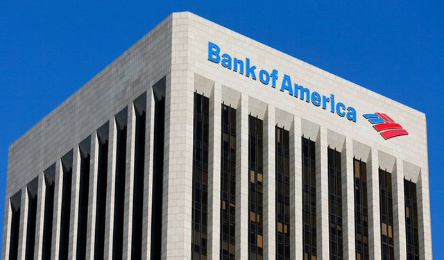 BoFA'dan Türk teknoloji şirketine 1 milyon lotluk yatırım