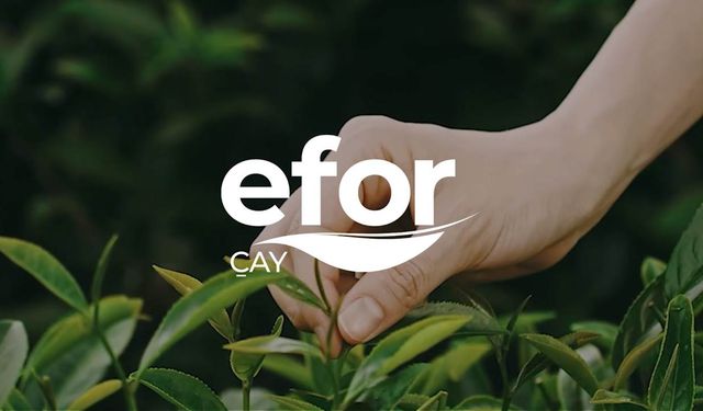 Efor Çay'dan 1,3 milyar TL'lik anlaşma: Hisseler rekora yaklaştı