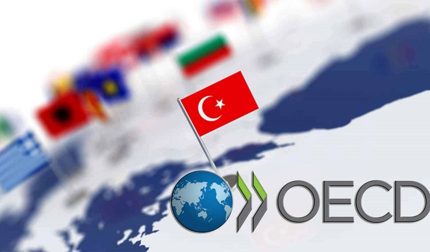 Türkiye, işsizlikte OECD ülkeleri arasında dördüncü sırada